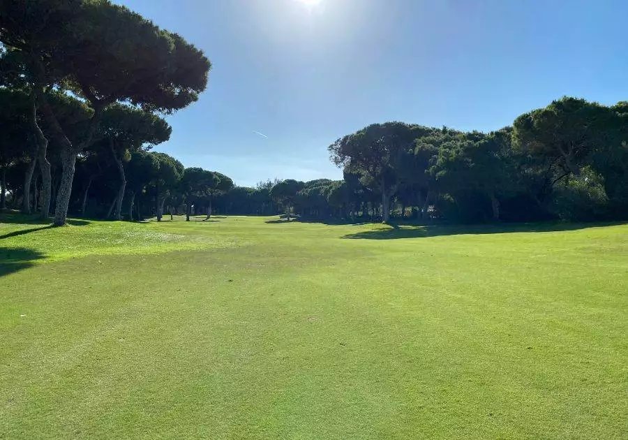 Sunshine on the Golf Course