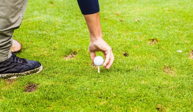 Are premium golf tees actually worth it